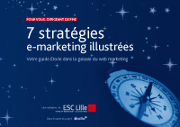 guide strategies esc lille