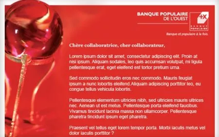 Banque Populaire : Stratégie Marketing Online