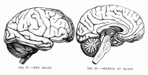 gravure empathie et design