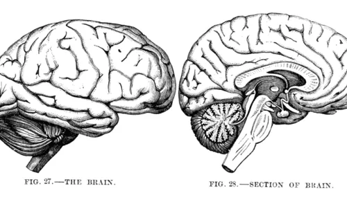 gravure empathie et design