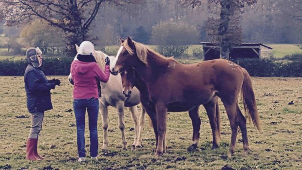 Formation management chez Agence LunaWeb