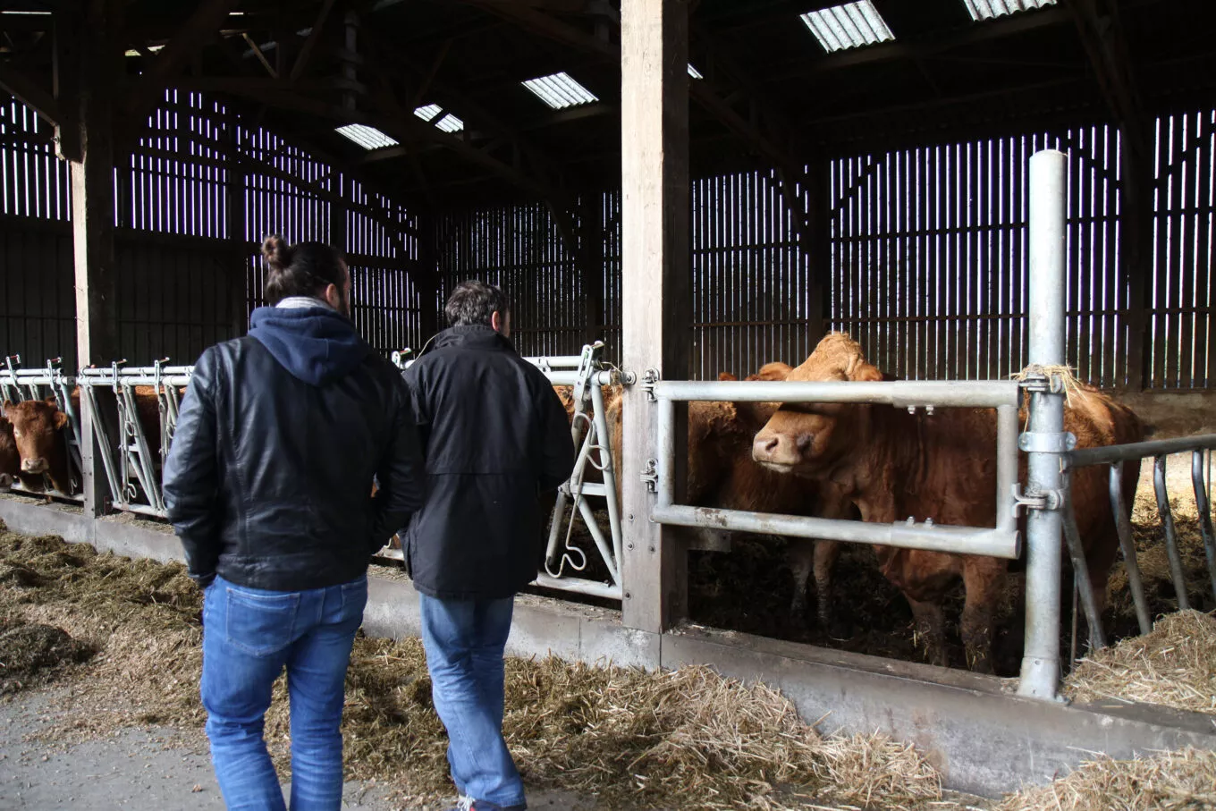 Damien Legendre en visite d'une exploitation agricole pour un projet de design UX