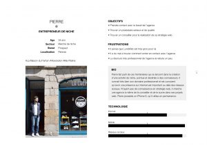 LunaWeb – UX – Proto-persona