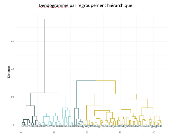 dendogramme profils type UX research