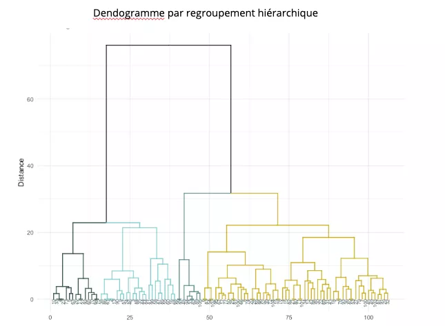 dendogramme profils type UX research