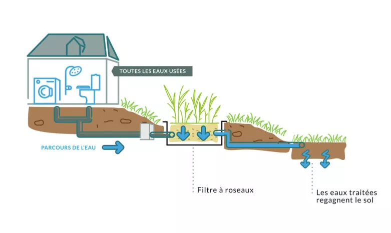 Fonctionnement jardin d'assainissement Roseaux Aquatiris