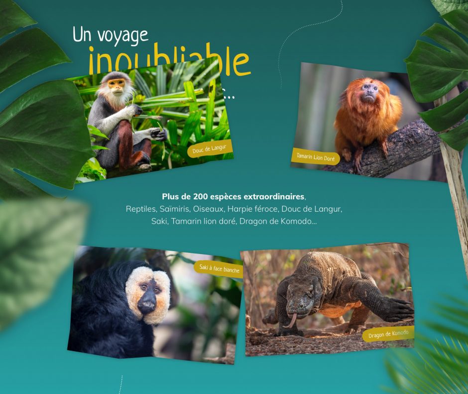 Conception-page-dome-Beauval-2