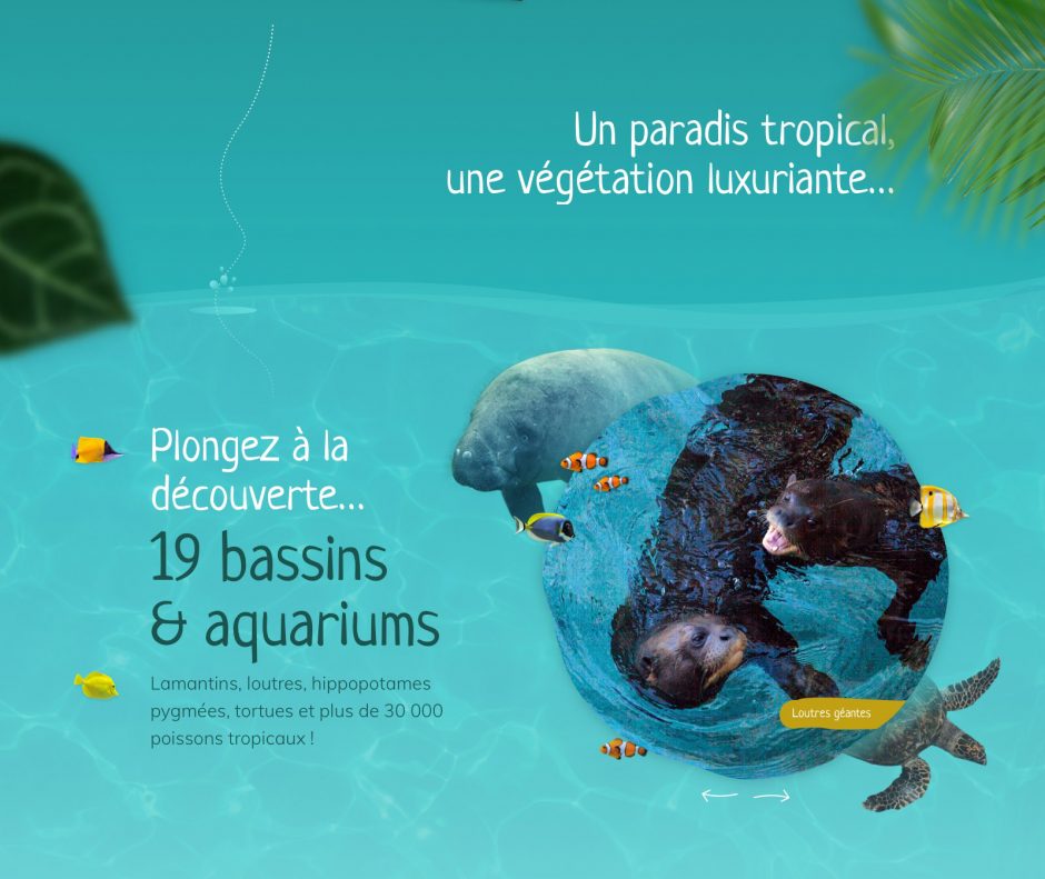 Conception-page-dome-Beauval.3