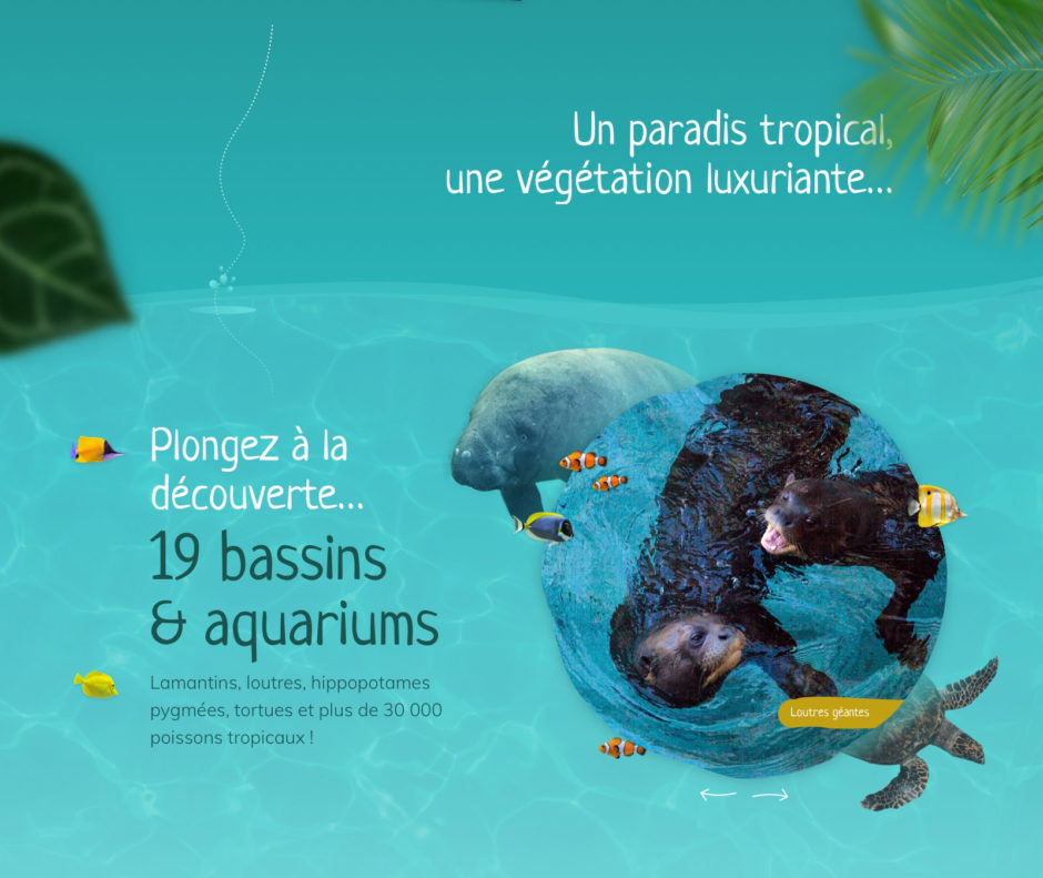 Conception-page-dome-Beauval.3