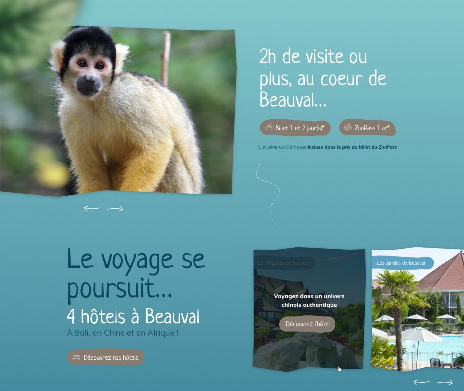 Conception-page-dome-Beauval.4