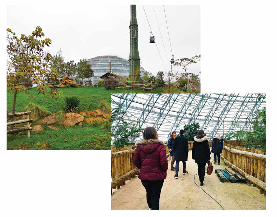 découverte-dome-beauval