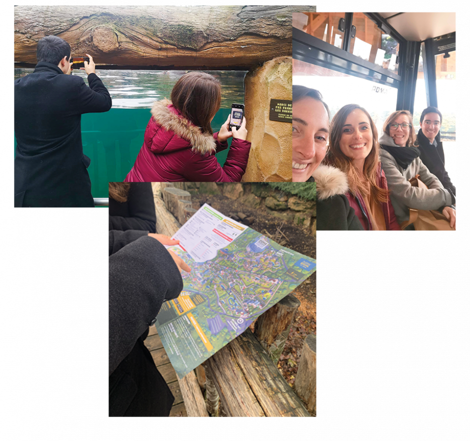 projet-immersion-zoo-beauval