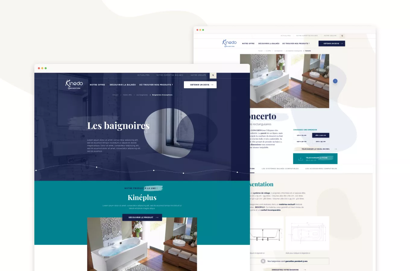 site Kinedo Balneo desktop
