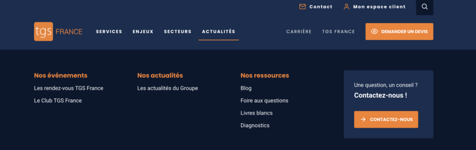 Page contact TGS France
