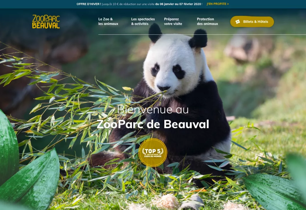 Webdesign du site du Zoo de Beauval