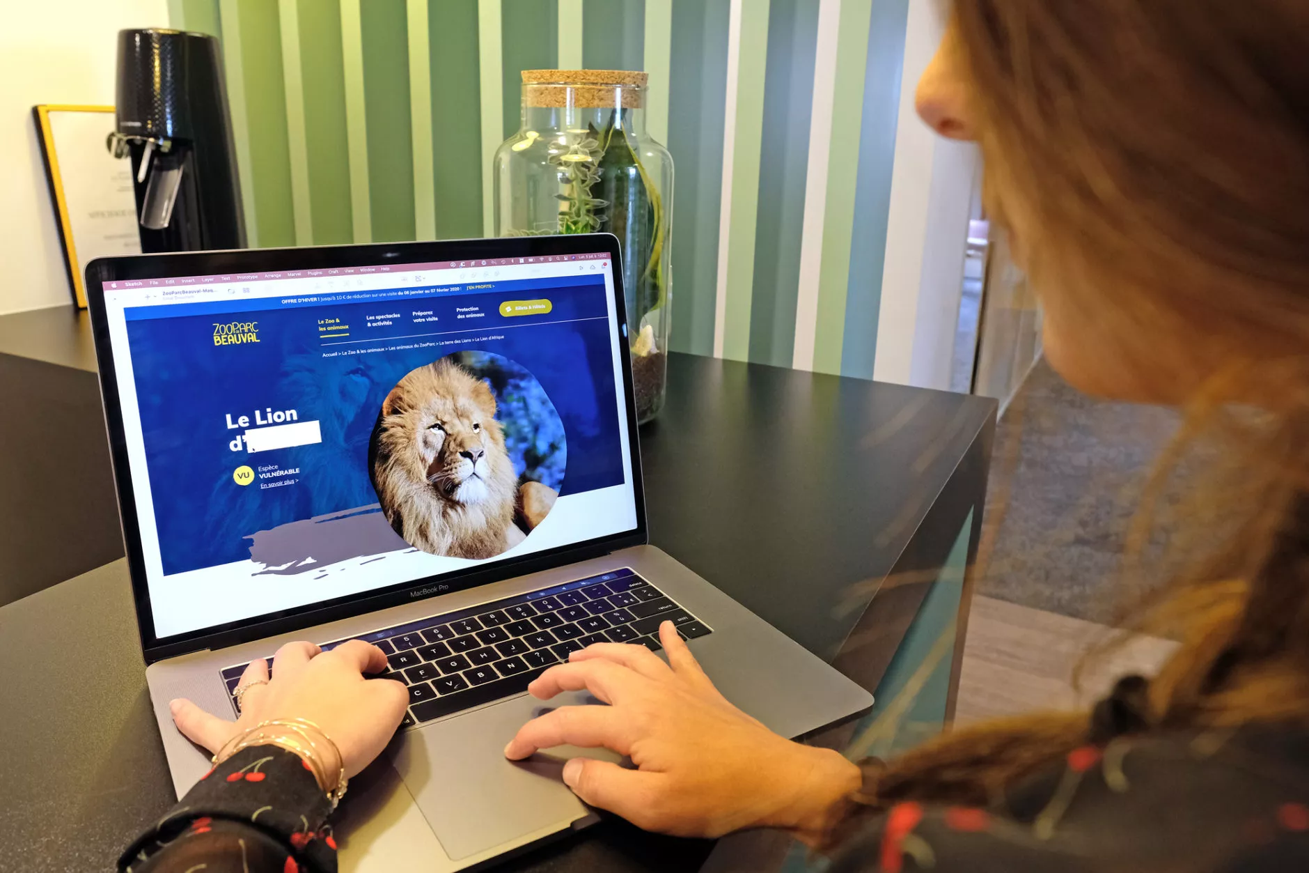 Un designer de l'agence testant son travail pour le zoo de beauval