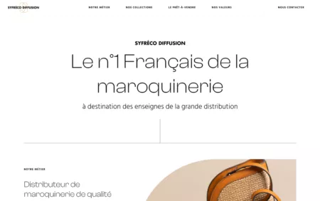 webdesign ORCA SYfréco