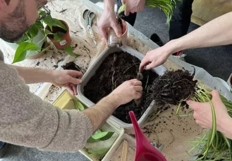 Une des nombreuses initiatives RSE chez LunaWeb : une séance d'échanges de graines, plantes et boutures