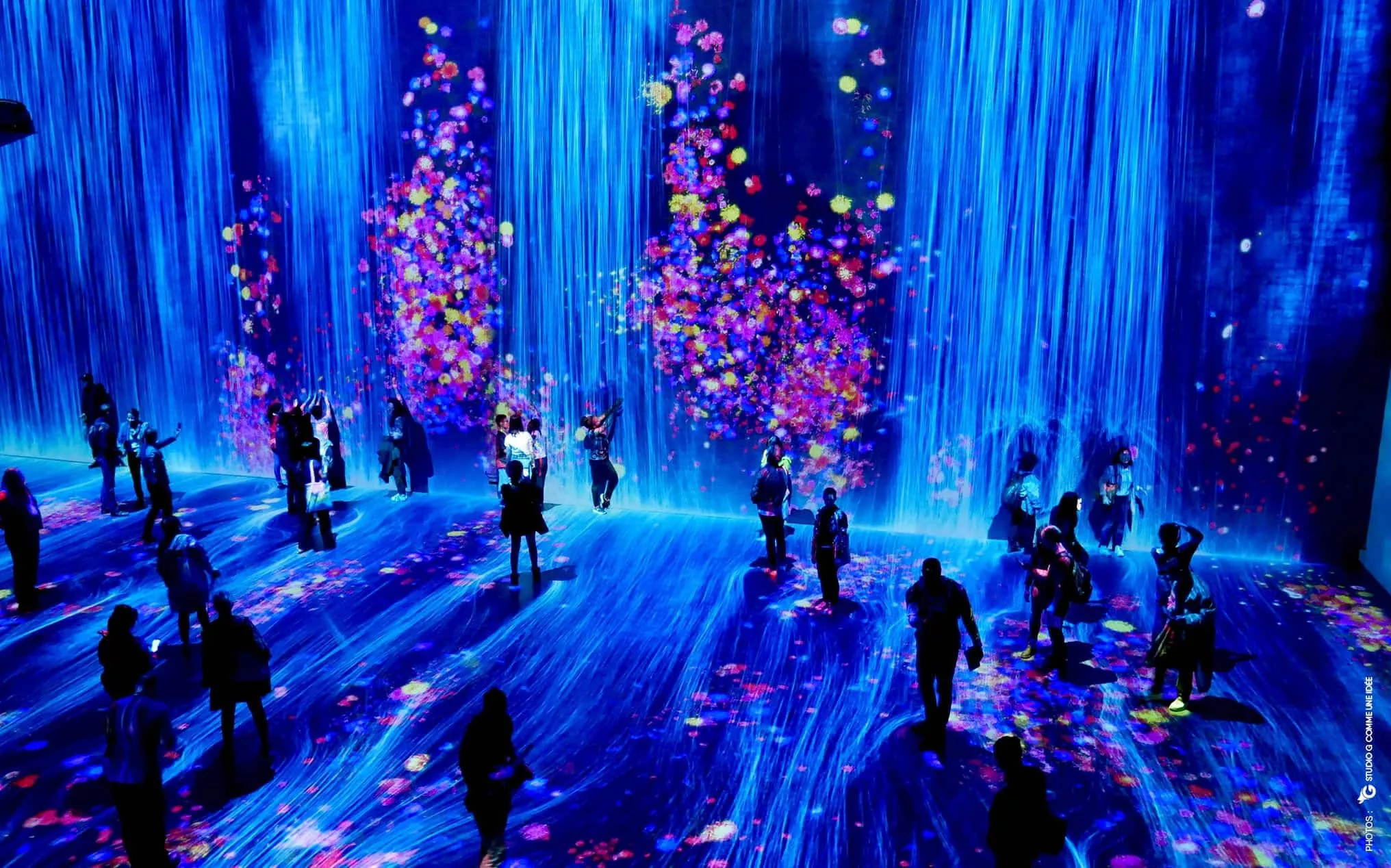 Expérience muséale exemple, image issue de https://www.gcommeuneidee.com/le-studio-decouvre-teamlab-a-la-villette/