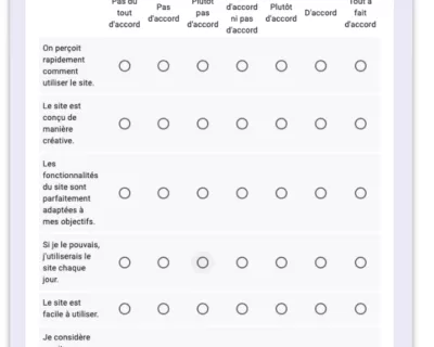 Exemple questionnaire meCUE