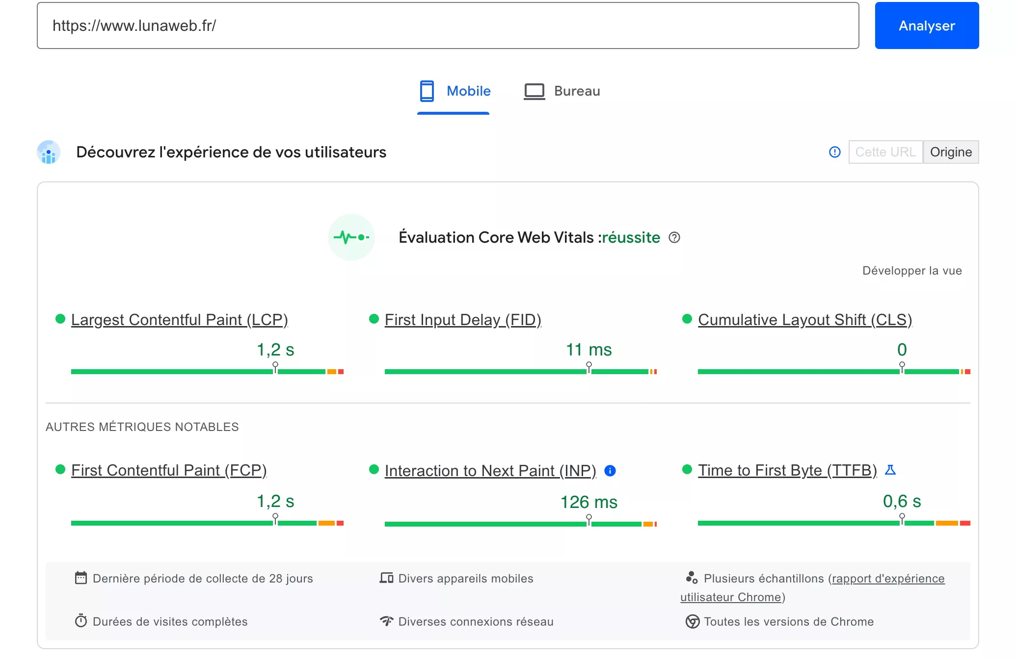 capture écran Google Page Speed