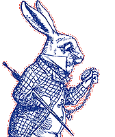 Lapin blanc